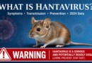 Hantavirus Kudos Press